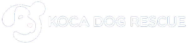 kocadog